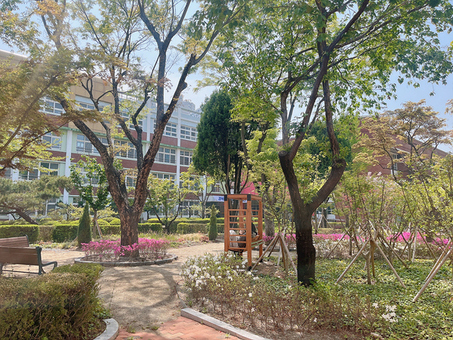 대구시, 2년 연속 학교숲 조성분야 수상 쾌거!