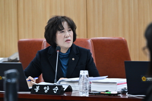 봉양순 시의원, ‘자치구 경사로와 이면도로 결빙’ 행정관할 보다 시민안전 최우선으로 서울시가 직접 나서야