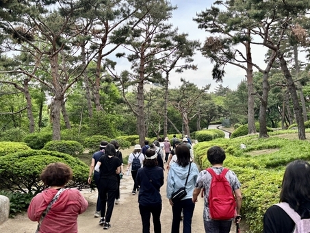 용산구, 남산공원 걷기 챌린지 운영… ‘봄빛따라 남산길 걸어봄’
