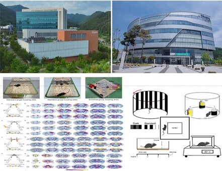케이메디허브-한국뇌연구원,전임상 연구 인프라 국제적 연구발전에 기여