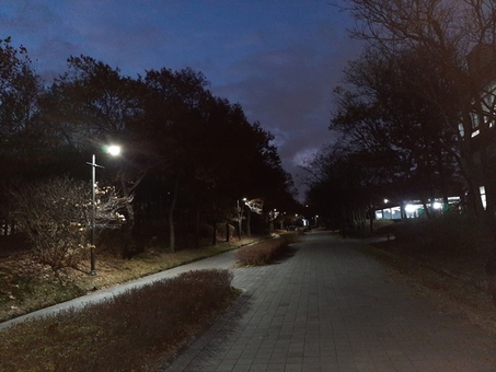 서울숲 밤에도 안전하게! 보행로 노후 등 단계별 교체