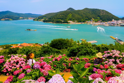 전남 관광지·축제 12곳, 문체부 로컬100 선정…역대 최다
