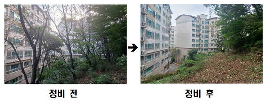 동작구, 생활권 연접부 ‘위험 수목’ 전면 정비 ⋯ 주민 불안 해소!