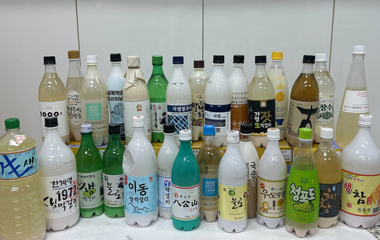 대구시 유통 탁주, 안심하고 마셔요! 안전성 검사 완료