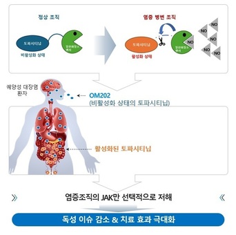 궤양성 대장염 치료제 원스톱 개발 지원