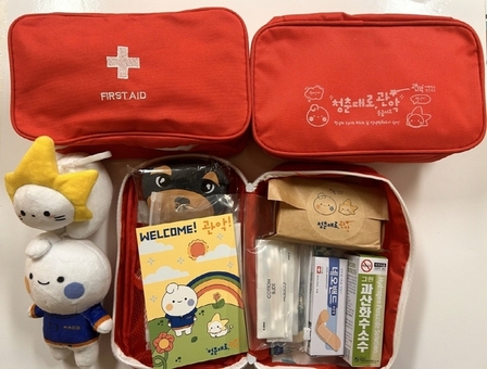 “관악구에 온 걸 환영해!” 관악구, 관악이·별냥이 담은 웰컴키트로 청년 맞이