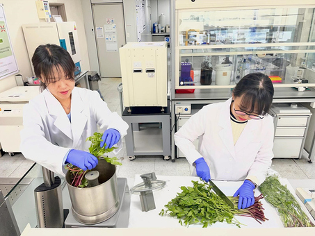 “봄나물 안심하고 드세요”… 검사 결과 97.2% 적합