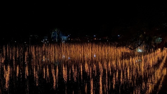경남도, 함안 낙화놀이, 2025 한국관광의 별 선정 쾌거