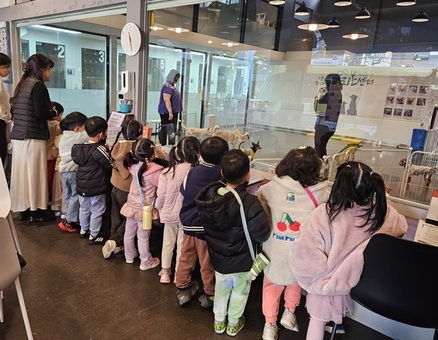 “동물도, 사람도 모두 소중해요” 강동구, 어린이 대상 생명존중교육 운영