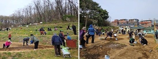 “도심 속 농부의 꿈 키운다”… 은평구 친환경 나눔텃밭 참여자 모집