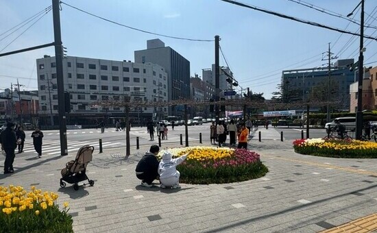 구로구, 봄꽃 식재·걸이화분 설치로 도심 단장