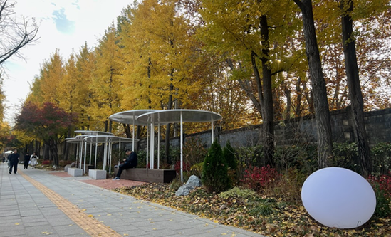 용산구, 힐링정원‧도시숲으로 이태원 관광 특구 잇는다