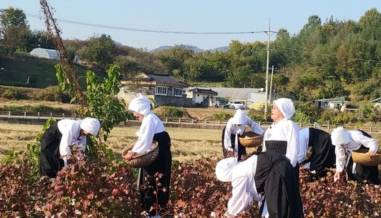 전남도, 고흥 무열사 고문서 등 5건 문화·무형유산 지정 