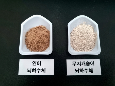 전남해수원, 민물장어 인공종자 생산 연구 확대