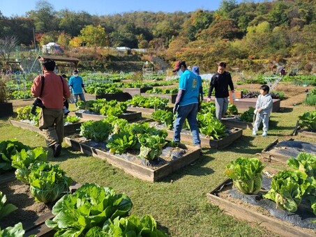 관악구‘친환경 도시텃밭’이용자 모집