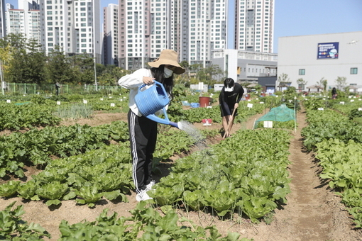 성동구, 도시 농부 위한 텃밭 분양…나만의 푸른 심(心)터 만들어요!