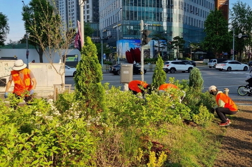 주민 손길로 가꾸는 녹색도시…  용산구,‘나무돌보미’사업 활기