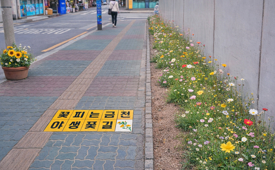 금천구, “도심 속 시골 정취 만끽하세요”