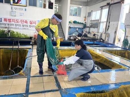 추석 앞두고 생산단계 경남 수산물 안전성 ‘이상 무’